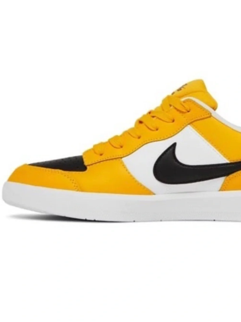 Nike sb force